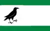 Flag of Gmina Wronki