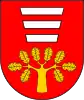 Coat of arms of Gmina Hańsk