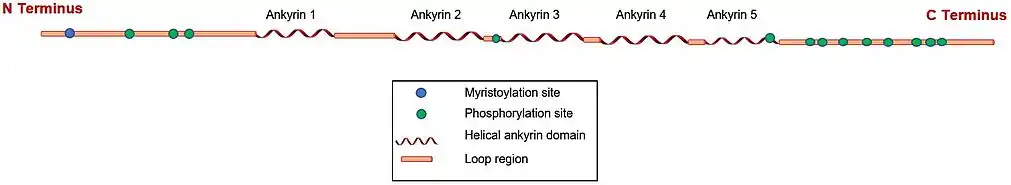 POTEB schematic