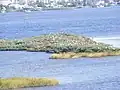 Birds gather at the Port Orange Wildlife Sanctuary.