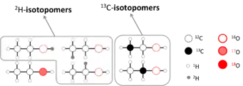 Ethanol isotopologues