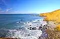 Coastline near Calera Creek