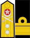 Rear admiral(Urdu: بحریہ کا امیر, romanized: Bahriyah ka ameer)(Pakistan Navy)