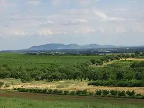 View from Dolní Kounice