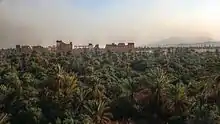 Date trees, with Palmyra in the background