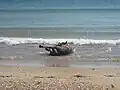 Rolling in water by a horse