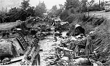 Abandoned equipment and dead horses in a ditch