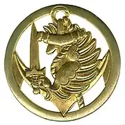 Previous beret insignia of para T.D.M