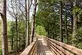 Walking trail in the park