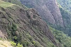 Tagore head at Parunthumpara