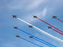 The Patrouille de France's Alphajets