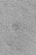 Patterned ground was once called fingerprint terrain because it looked like giant fingerprints. The dark dots are actually chains of low mounds.  The center circular feature is a ring of dark boulders on the rim of a buried crater.  Picture from Mars Global Surveyor.