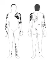 Tattoos of the man in Pazyryk-5. He has a large lion design over the left shoulder.