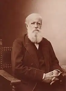 Pedro II of Brazil