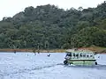 A boat cruise on Periyar Lake