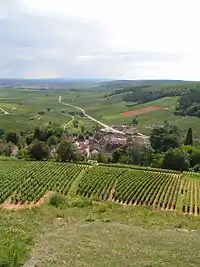 The vineyards on the Côte de Beaune, overlooking the village