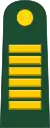 Colonel