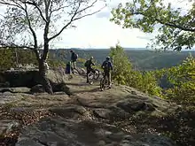 Photograph of hikers and mountain bikers on top of a flat rock hill overlooking a forest