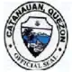 Official seal of Catanauan