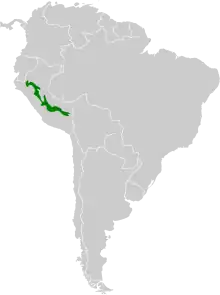 Range of Koepke's Hermit hummingbird (Phaethornis koepckeae)