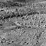 One of the first surface images from Phoenix.