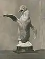 Penguin (c.1936), National Academy of Design