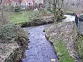 Confluence with River Beal