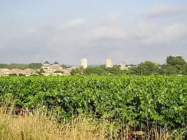 A general view of Pignan