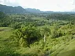 Viñales Valley