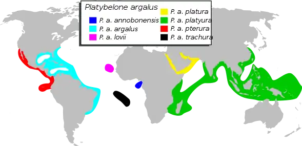 P. argalus range map, with each major subspecies highlighted