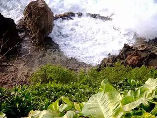 View of Puerto Hermina Beach