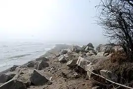 Point Pelee looking South, Apr 2008