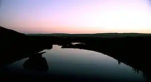 Point Reyes Marsh at dusk