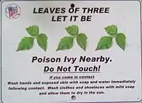 Poison Ivy warning