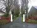 Pollarded trees on a driveway in Fenwick Road.