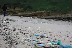 Beach with small pieces of plastic scattered all over