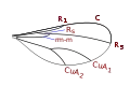 Porricondylinae (most) wing veins