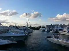 Port Lucaya Marina