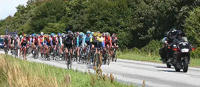 The peloton near Randers on stage 2