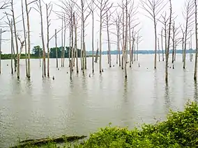 Poverty Point Reservoir in Delhi.