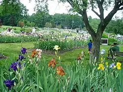 Presby Memorial Iris Gardens