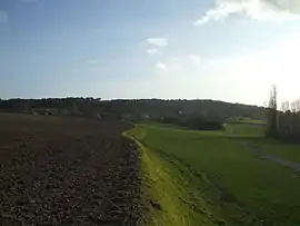 The village and the surrounding countryside in Prinçay