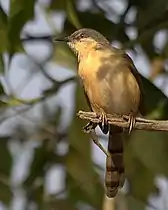 In Pune, India