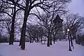 Witch's Hat during winter