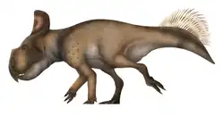 Protoceratops andrewsi