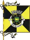 Flag of Vale de Cambra