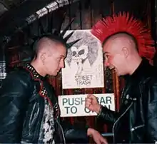 Two punks from the late 1970s