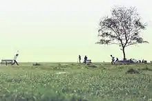 Cricket at Puthyvypin Beach