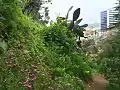 View of Viña del Mar from the Park