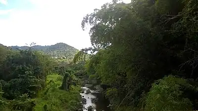 Arroyata River in Vega Redonda